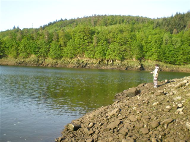 P5020461.JPG